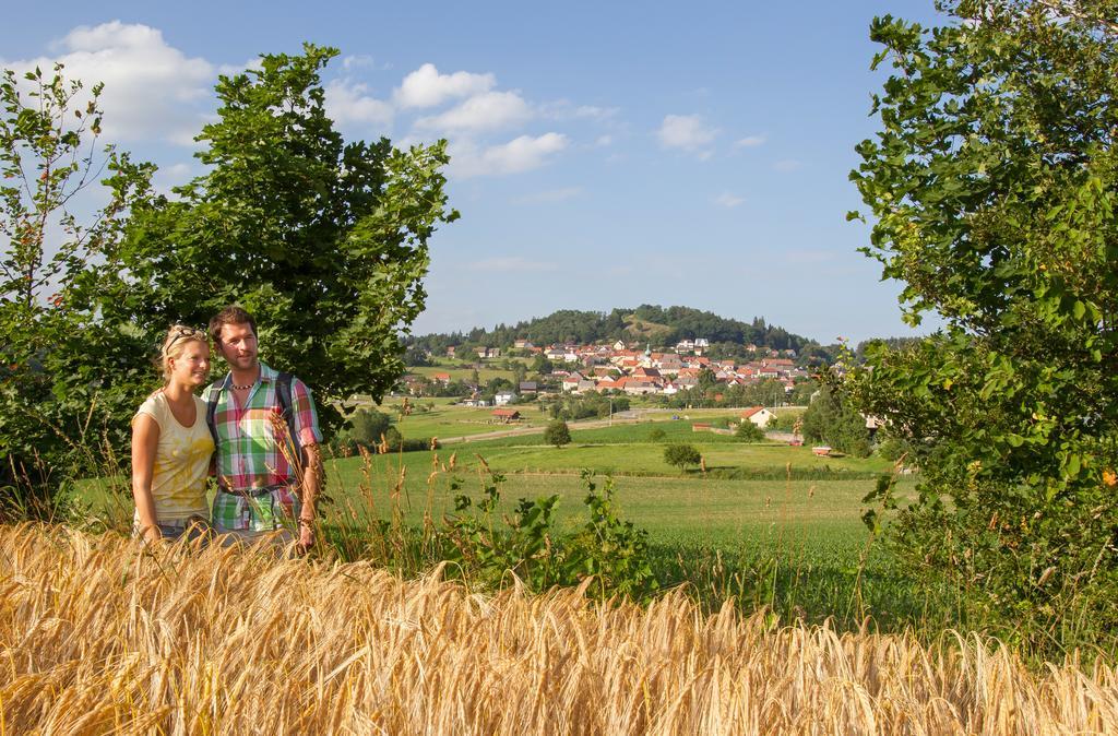 Hotel Zum Schwarzen Baeren Vohenstrauss Exteriér fotografie