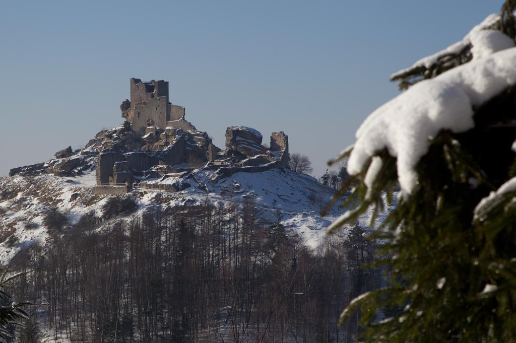 Hotel Zum Schwarzen Baeren Vohenstrauss Exteriér fotografie