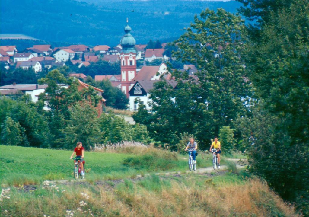 Hotel Zum Schwarzen Baeren Vohenstrauss Exteriér fotografie